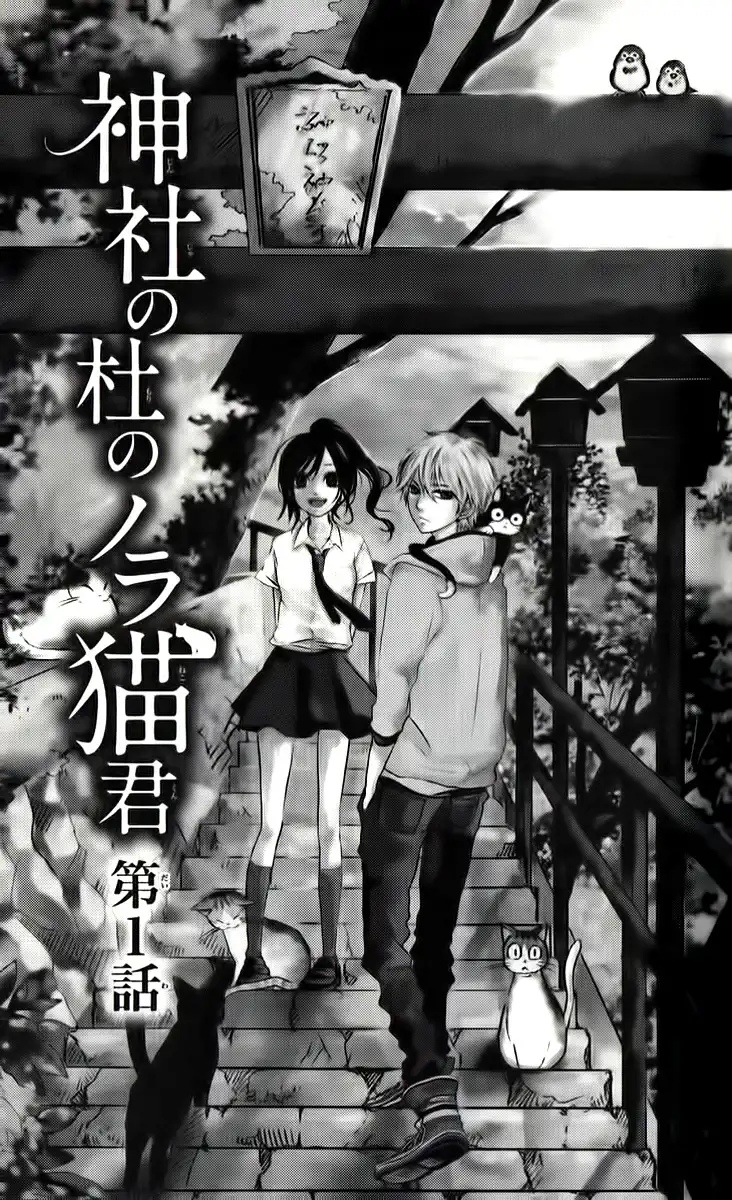 Jinja no Mori no Nora Neko-kun Chapter 1 4